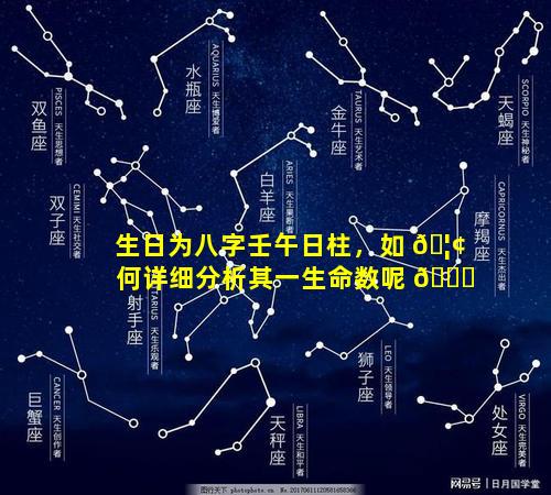 生日为八字壬午日柱，如 🦢 何详细分析其一生命数呢 🐝